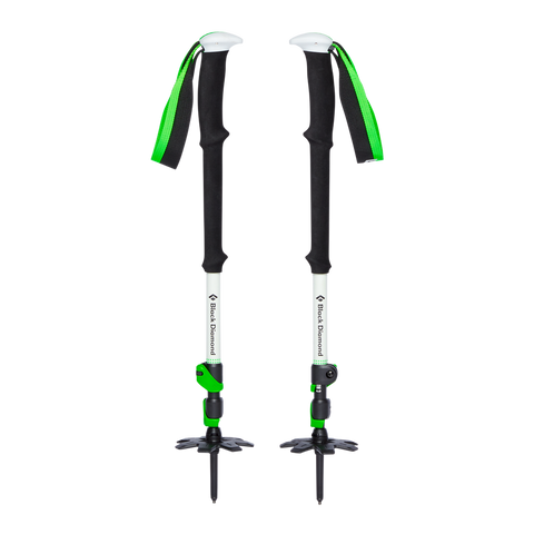 Expedition 3 Ski Poles
